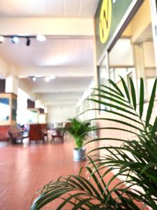 a lobby with two potted plants in a building at W Smart Stay TRANG in Trang