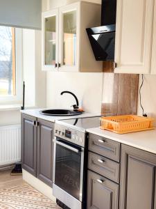 a kitchen with gray cabinets and a stove top oven at Mājīgs dzīvoklis Aizputē in Aizpute