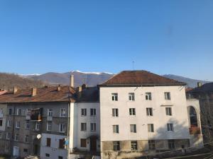 a group of buildings with mountains in the background at Straja Mountain Escape in Lupeni