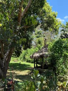a small hut with a grass roof in a field at Niwasa Habarana in Habarana
