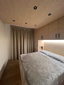 a bedroom with a large bed and a curtain at BORMIO Apartment AL PRADAIS in Bormio