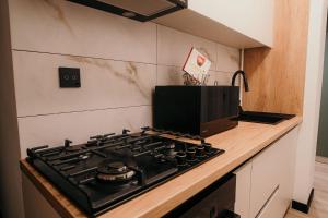 a stove top oven sitting on top of a kitchen counter at Sage Studio in Drobeta-Turnu Severin