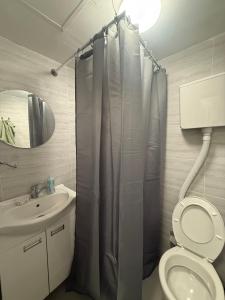 a bathroom with a shower curtain and a toilet at Antic Apartman in Bor