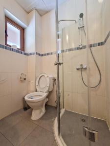 a bathroom with a toilet and a shower at Villa Deja Vu Private Jacuzzi & Sauna, Fireplace, 3 Bedrooms, near Bansko in Razlog +63 photos