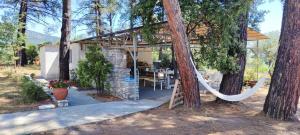 a cottage with a hammock in the woods at Art.Villa.Nike in Koinyra
