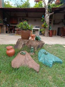 a garden with rocks and a potted plant on the grass at Chalés Crismel in Viçosa do Ceará