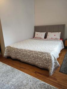 a bedroom with a large bed with pink pillows at Quite room double bed in Florina