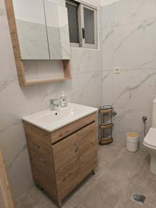 a bathroom with a sink and a toilet at Quite room double bed in Florina