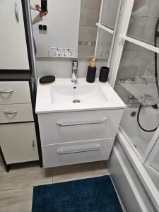 a bathroom with a white sink and a shower at Appartement paisible in Quévert +28 photos