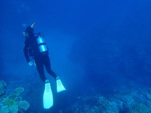 a person in a wetsuit is diving in the ocean at Rest and Lodge Syou in Amami +28 photos