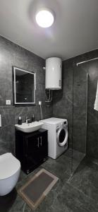 a bathroom with a toilet sink and a shower at Apartman Kristal, Vrnjačka Banja in Vrnjci +29 photos