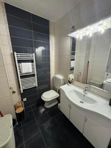 a bathroom with a sink and a toilet and a mirror at Neretva Paradise Mostar in Mostar +21 photos