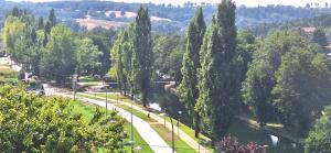 a street lined with trees next to a river at Casa Germano in Sabugal