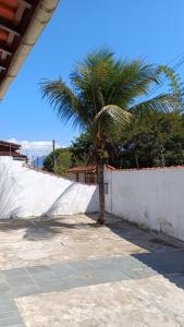 a palm tree in front of a white wall at Oásis Flórida in Peruíbe