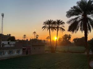 a sunset with palm trees and a house in a field at Sun Rise House Luxor in Al Aqālitah