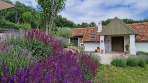 a garden with purple flowers in front of a house at Bagolyvölgy Tulkó Ház in Balatonhenye +12 photos