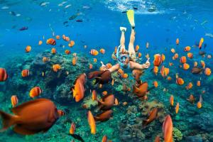 a woman swimming in the ocean with a school of fish at Kihei Resort 127 · KRS 127 Relaxing 1BD Condo w AC Pool Beach Ne in Kihei
