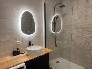 a bathroom with a sink and a shower at La Parenthèse de Foch in Le Puy-en-Velay +13 photos