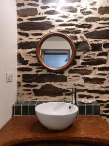 a bathroom with a sink and a mirror on a counter at La Tanière du Renard in Vallet