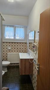 a bathroom with a sink and a toilet and windows at Appartamenti Croz del Re 2 in Andalo +23 photos