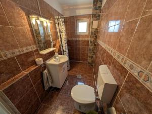 a bathroom with a toilet and a sink and a mirror at Peste Vale in Poşaga de Sus +34 photos