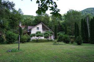 a house with a basketball hoop in a yard at Peste Vale in Poşaga de Sus