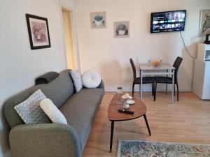 a living room with a couch and a table at Bayer Apartments Copenhagen in Rødovre