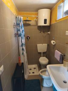 a small bathroom with a toilet and a sink at Ca' della Sfinge Colibrì a Civiasco in Varallo +19 photos