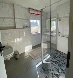 a bathroom with a glass shower and a toilet at Ferienhaus in der Altmark in Kakerbeck +20 photos