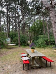 a wooden picnic table with four pillows and two benches at De Folks in Hoorn