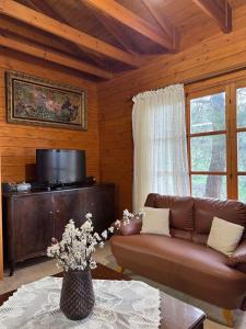 a living room with a leather couch and a television at Η σπηλιά του Θουκυδίδη in Spilia