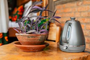 a plant in a pot next to a tea kettle at Mount Kilimanjaro 360 view Cottage in Uru