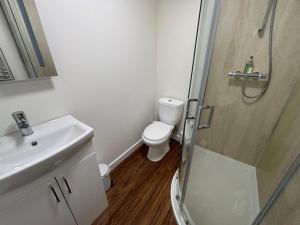 a bathroom with a shower and a toilet and a sink at Maisy's Hideaway in Kyleakin +12 photos