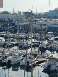 a bunch of boats docked in a harbor at Le goéland in Port Leucate
