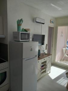 a kitchen with a microwave on top of a refrigerator at Le goéland in Port Leucate