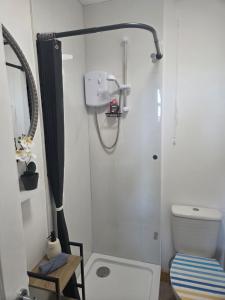 a bathroom with a shower and a toilet at Downhill Beach Studio Suite in Coleraine