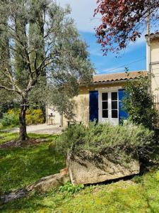 a house with a tree in front of it at Studio Chez Joelle in Carpentras