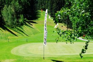 Golf v penzionu nebo okolí + 31 fotografií
