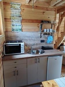 a kitchen with a microwave and a sink in a cabin at Diva House in Nikšić +6 photos