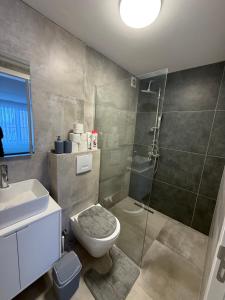 a bathroom with a shower and a toilet and a sink at OMA Residence in Ferizaj +5 photos