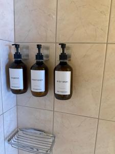 Drei Seifenflaschen an einer Wand im Badezimmer in der Unterkunft Studio Idylle in Ringgenberg