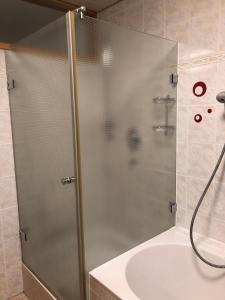 a shower with a glass door in a bathroom at Gästehaus AlbTraum in Reutti
