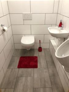 a bathroom with a toilet and a sink and a red rug at Gästehaus AlbTraum in Reutti