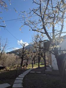 a person walking down a walkway in a park at Raahi Roots in Vashisht