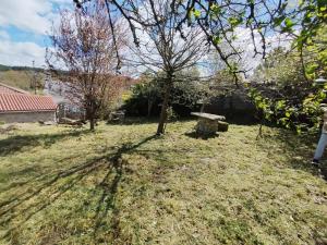 a view of a yard with a tree and a bench at refuxio de pambre in Palas de Rei