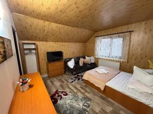a bedroom with a bed and a tv in a room at Plaiul Carpatin in Fundăţica