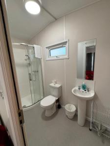a bathroom with a toilet and a sink and a shower at Seanie's guest house in Tullaroan +28 photos