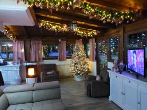 a living room with a christmas tree and a television at Il Geranio B&B in Ardea