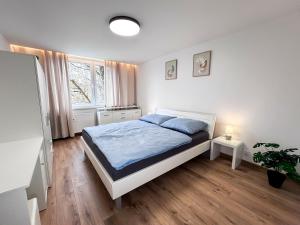 a bedroom with a white bed and a window at Green Oasis Apartment in Myslava