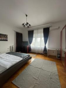 a bedroom with a bed and a large window at Rozelor Double Room in Timişoara